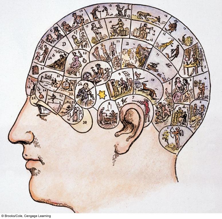 In the 1700s, phrenologists believed physical measurements of the skull revealed intelligence IQ!