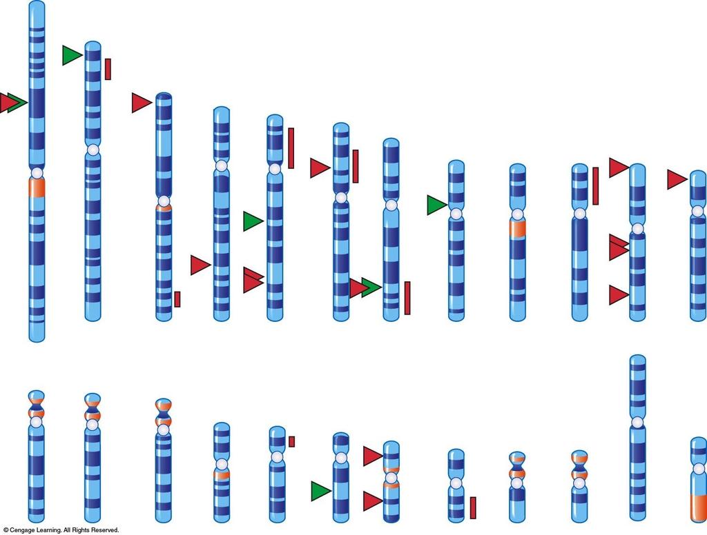 5.7 Genome-Wide Association Studies Identify Genes