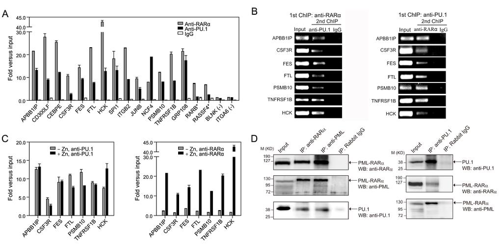 PML/RARα predominantly represses PU.1-regulated genes Recruitment of PML/RARα to chromaen pre-bound by PU.