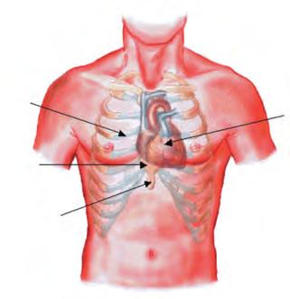 Third Link : Defibrillation This procedure can frequently re-start the heart if carried out early.