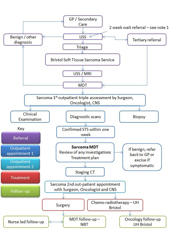 3.5 Patient Pathways for Initial Referral and Diagnosis for