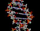 OMICS ID /Position GENOMICS Proteins + Gene Expression