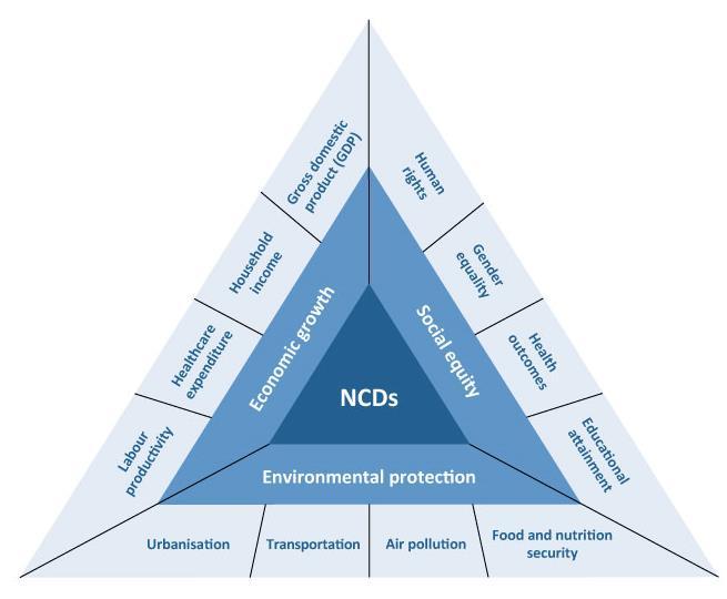 NCD Agenda Is Core To