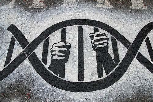 DNA Doubts DNA testing has changed the criminal justice system.