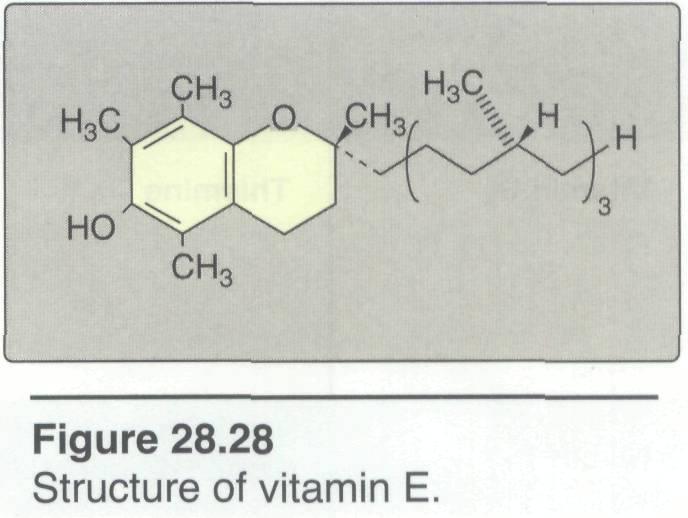 VITAMIN E : The E vitamins consist of eight naturally occurring tocopherols, of which α-tocopherol is the most active.