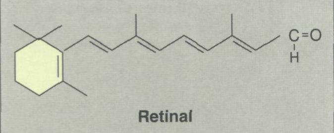 2. Retinal: This is the aldehyde derived from the oxidation of retinol. Retinal and retinol can readily be interconverted. Aldehyde group 3.