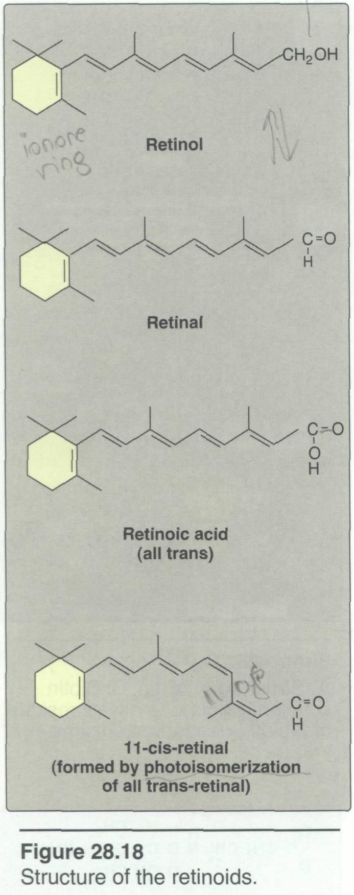 oxidation Aldehyde group trans Don't forget : retinoic acid can't be reduced in the body to retinal or retinol This means that the reaction from retinal to retinoic