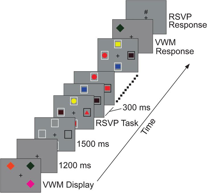 Distinct Capacity Limits for Attention and Visual Working Memory Fig. 5.