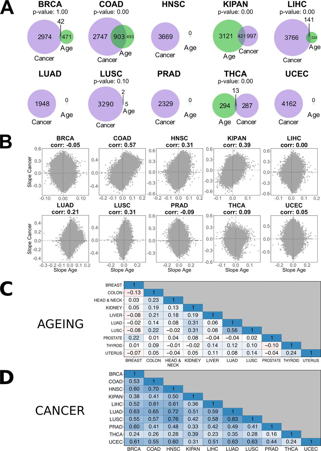 Nucleic Acids Research, 2018, Vol. 46, No. 14 7029 Figure 3. Differences and similarities of differential methylation across the whole genome in ageing and cancer in different tissues.