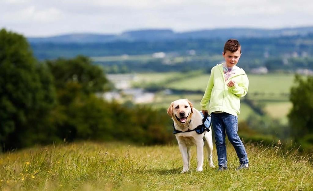 Irish Guide Dogs Assistance Dog Programme The two qualifying criteria are: a) Your child s date of birth which must be between August 19th 2010 and August 19th 2012.