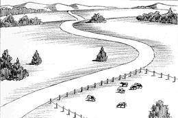 Land Metamorphosis A single country lane The automobile enters the scene A divided road Increasing density Then a 4 lane road ENVIR 202: Lesson 15 16 The Expressway and Population Health Urban Loss