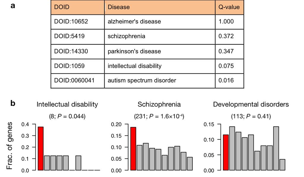 Supplementary Figure 7 Specificity of our genome-wide ranking to ASD. (a) Enrichment of ASD-gene ranking on genes associated with various neurological/brain diseases.