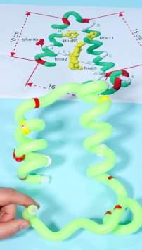 You may rotate the clip to see the dot with the number. The side chains should point away from the inside of the helices.