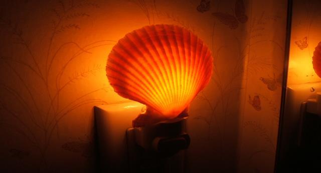 Harvard Health: Recommendations Use dim red lights for night lights. Avoid looking at bright screens beginning two to three hours before bed.