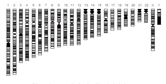 Genetics 101: DNA encodes genes, they are transcribed to RNA, and RNA is translated into protein.