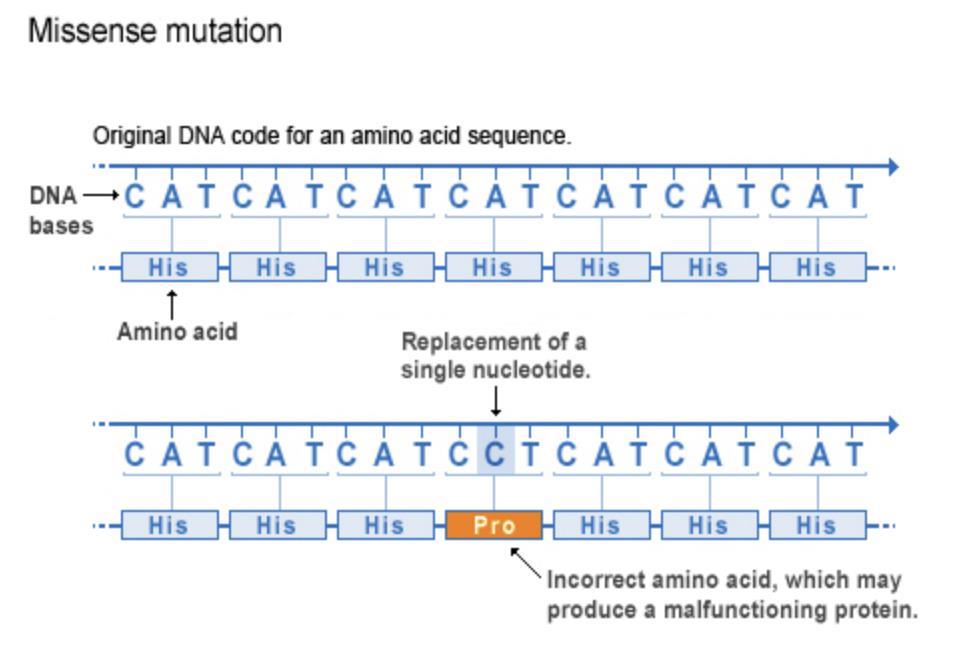 Mutation types:
