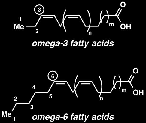 Fatty acid biosynthesis β-hydroxy butyryl-acp -
