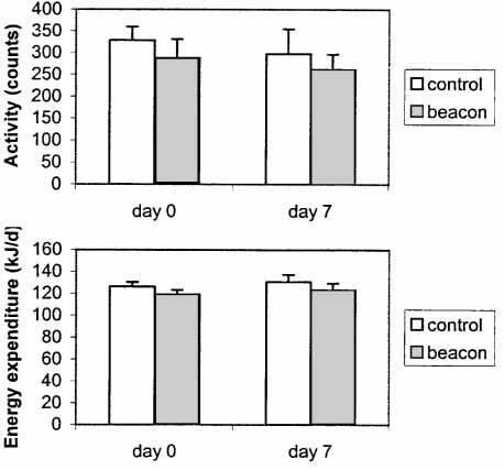 1284 Figure 3 Effects of i.c.v. beacon administration on physical activity and total energy expenditure in Psammomys obesus (mean s.e.m.).