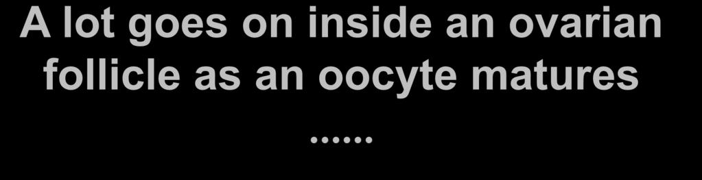 A lot goes on inside an ovarian follicle as an oocyte matures Achieves this by: Oogenesis: to produce female gametes Secretion of