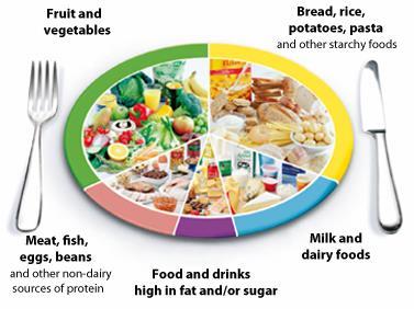 Healthy Eating The eatwell plate shows the different types of food we need to eat and in what proportions to have a wellbalanced and healthy diet.