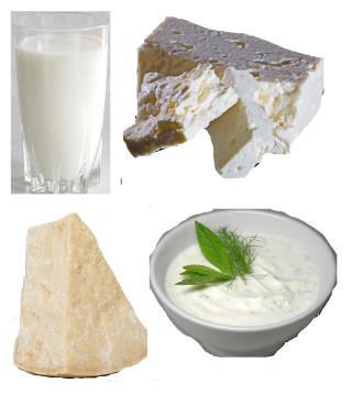 4. Milk and dairy foods Milk and dairy foods such as cheese and yoghurt are good sources of protein. They also contain calcium, which helps to keep your bones healthy.