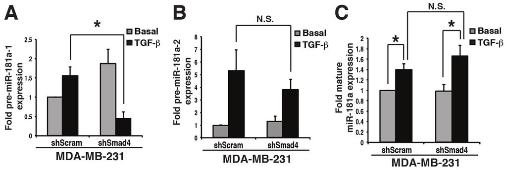 mir-181a promotes Breast Cancer Metastasis Supplementary Figure 3: Taylor et al Supplemental Figure 3 Regulation of pre-mir-181a expression and processing by canonical Smad4 signaling.