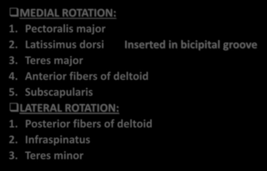 MOVEMENTS OF SHOULDER JOINT MEDIAL ROTATION: 1.