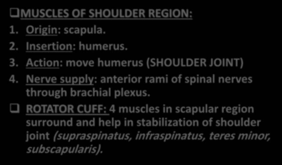 SUMMARY MUSCLES OF SHOULDER REGION: 1. Origin: scapula. 2. Insertion: humerus. 3. Action: move humerus (SHOULDER JOINT) 4.