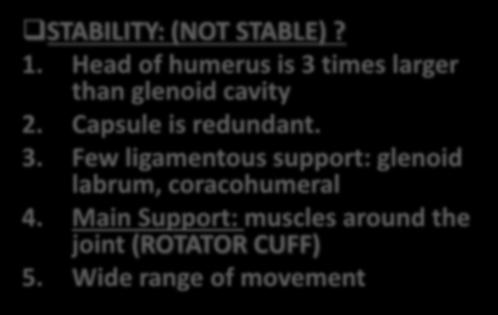 JOINT STABILITY: (NOT STABLE)? 1.
