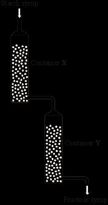 diffusion Oxygen passes through this cell by osmosis respiration (Total 5 marks) Q25. The diagram shows an industrial process. Containers X and Y contain enzymes.