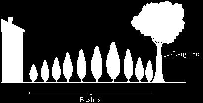 (Total 7 marks) Q26. The diagram shows bushes in a hedge growing near to a house.
