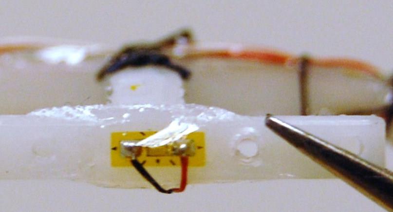 3140 RTV Silicone Rubber was used to seal the gap between the heat shrink and transducer to prevent blood from entering the wire harness during experimentation.