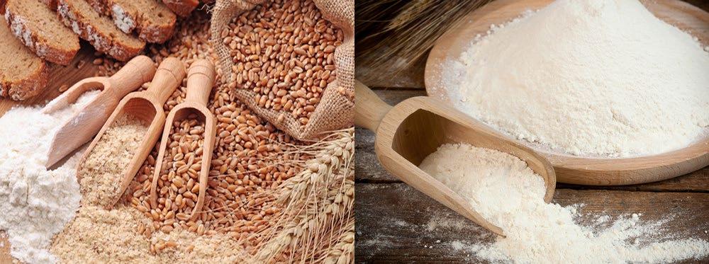 The nutrient dense whole grain is thus packed with bioactive components such as vitamins, fiber, minerals, antioxidants including phytochemicals like betaine, choline, sulfur containing amino acids