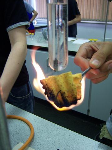 Burning food to show energy What do you think will happen to