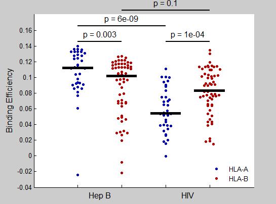 Modelling the impact of HLA class I loci on disease outcome HLA-A alleles and