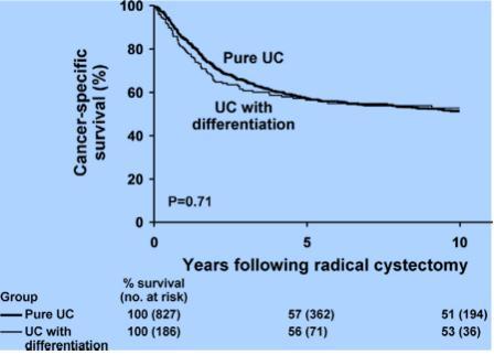 THE IMPACT OF OF SQUAMOUS AND GLANDULAR DIFFERENTIATION ON SURVIVAL AFTER RADICAL CYSTECTOMY FOR UROTHELIAL CARCINOMA Kim SP