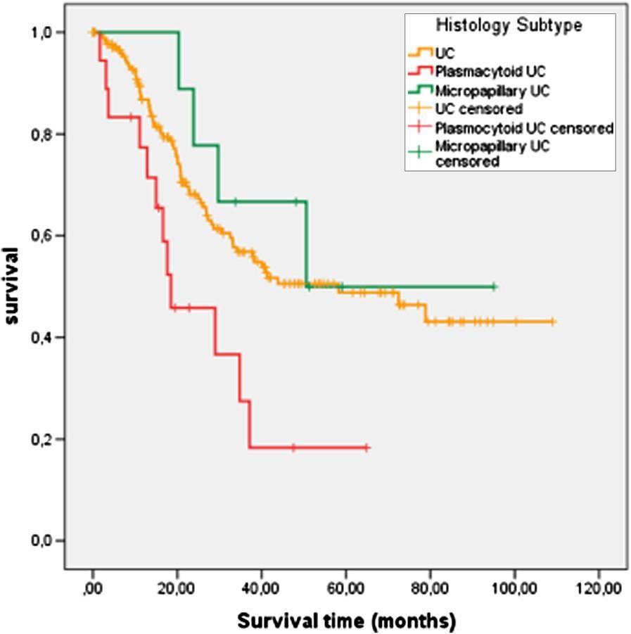 Plasmacytoid variant of bladder cancer defines patients with poor prognosis if treated with cystectomy and adjuvant cisplatin-based chemotherapy Keck et al.