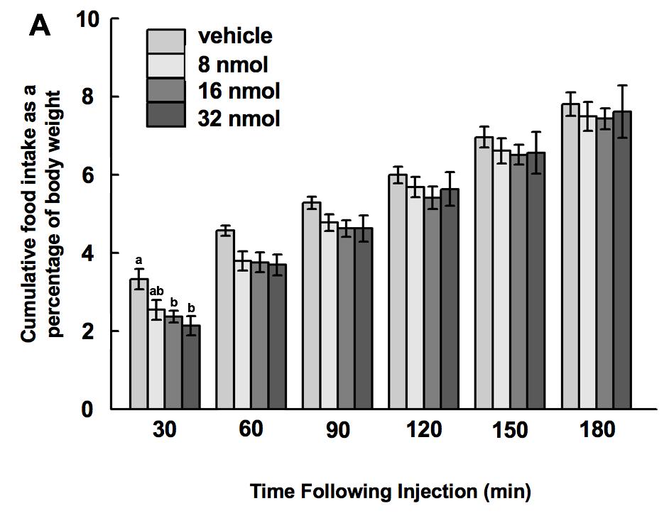Figure 2-1. Food intake following intracerebroventricular injection of NPFF. Cumulative (A) and non-cumulative (B) food intake expressed as a percentage of body weight in Japanese quail.