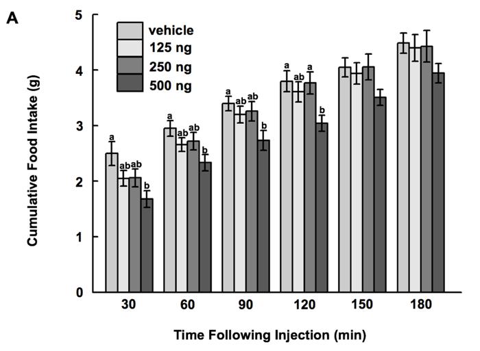 Figure 3-1. Food intake following intracerebroventricular injection of gastrin. Cumulative (A) and non-cumulative (B) food intake in 4 day-old broiler chicks.