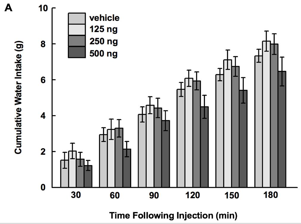 Figure 3-2. Water intake following intracerebroventricular injection of gastrin.