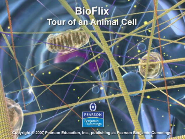 BioFlix: Tour