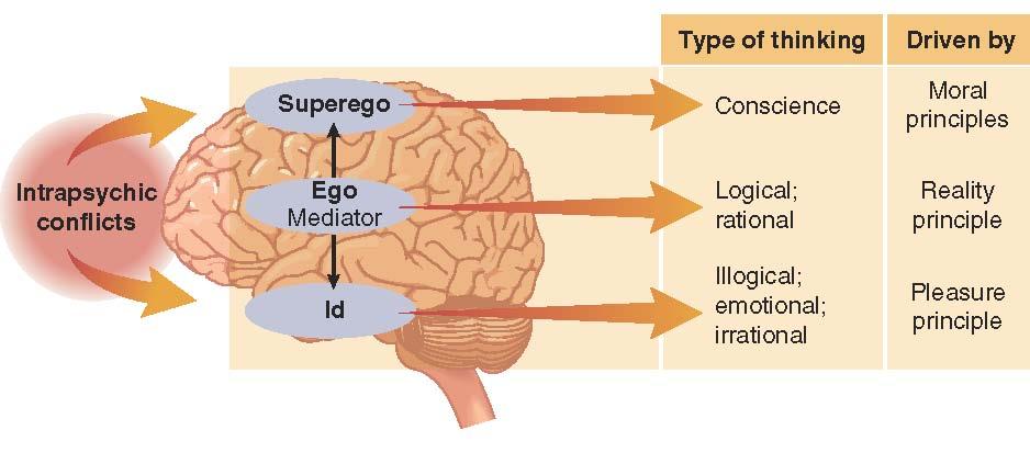 Freud s Structure of the Mind