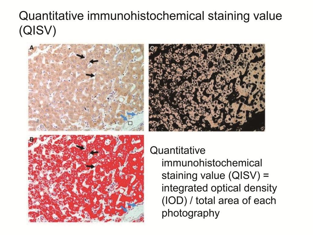 Supplementary Figure S7. Calculation of quantitative immunohistochemical staining value by Image ProPlus (A-C).
