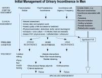 12 Management of urinary