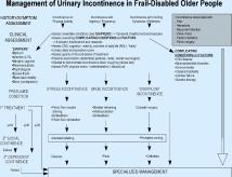 14 Management of incontinence in frail-disabled older people Management of Urinary incontinence in children 15 Due to their frequently impaired general health status, fraildisabled older people may