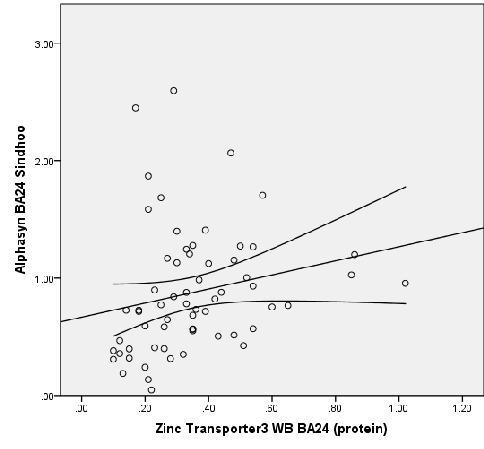 Correlations between α-synuclein (ELISA) and ZnT3 concentrations in
