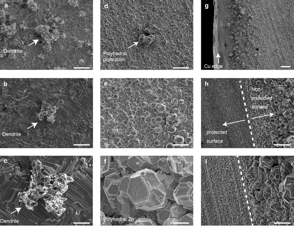 Supplementary Fig. 2 Ex-situ SEM images of substrate Cu after Zn plating. Ex-situ SEM images of Cu substrates for front-side (a-c) and backside-plating cells (d-f) at different magnifications.