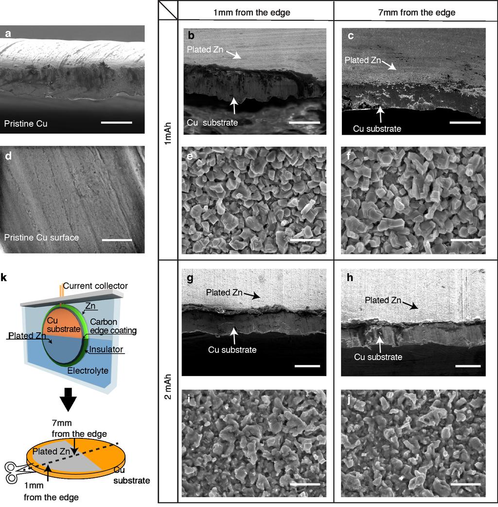 Supplementary Fig. 7 Cross sectional and top view SEM images of Zn plated Cu substrate with backside-plating configuration.