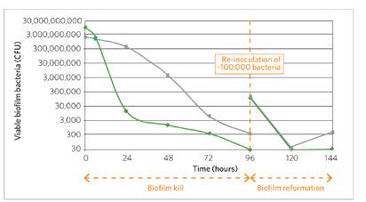 Biofilm reformation was also assessed by inoculating fresh bacteria onto the gauze substrate beneath the dressing, followed by incubation and assessment of bacterial viability over subsequent days.