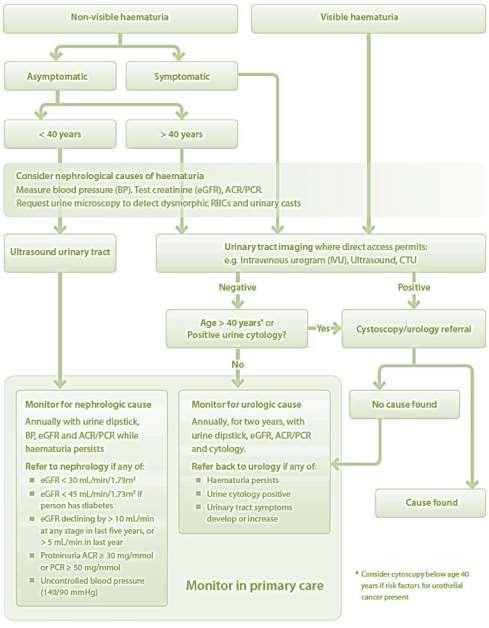 Figure 2: Clinical assessment pathway http://www.bpac.org.